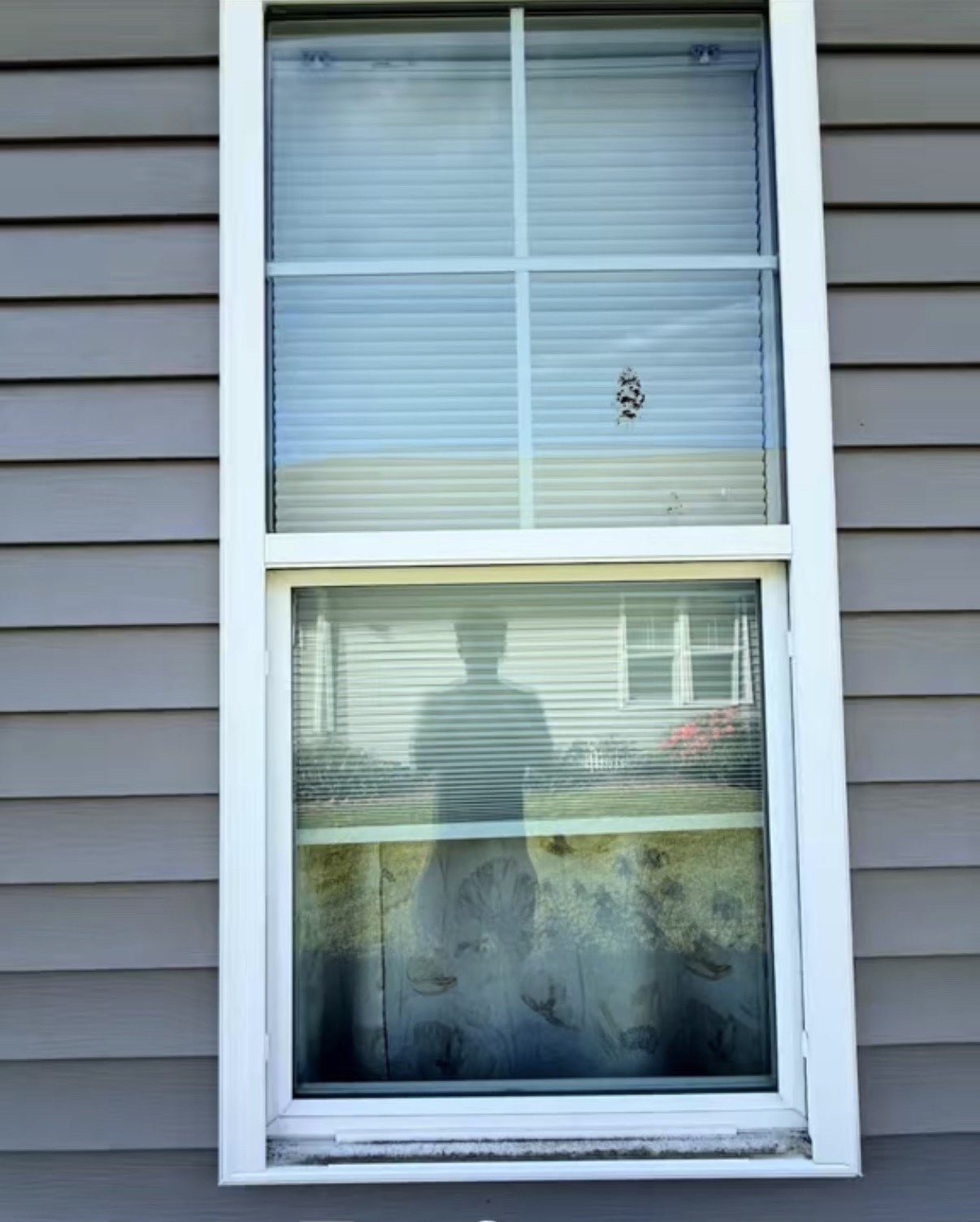 Window before cleaning
